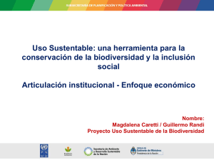 Presentaci n Articulaci n Institucional y Enfoque Econ mico