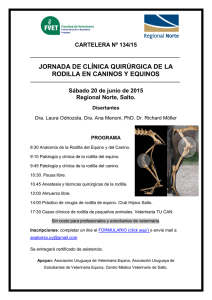 JORNADA DE CLÍNICA QUIRÚRGICA DE LA RODILLA EN CANINOS Y EQUINOS