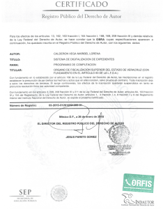 11. SISTEMA DE DIGITALIZACIÓN DE EXPEDIENTES