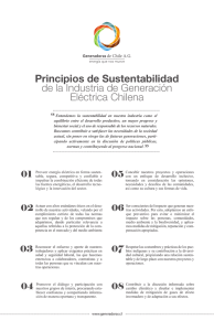 Principios de Sustentabilidad de la Industria de Generación Eléctrica Chilena
