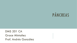 presentacion pancreas