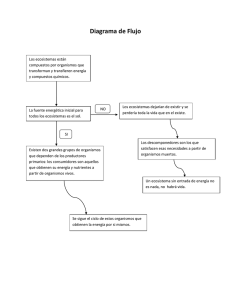 Diagrama de Flujo: Flujo de Energía en Ecosistemas