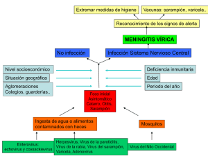 MENINGITIS VÍRICA Infección Sistema Nervioso Central No infección