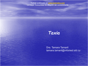 Neurologico II: Taxia (ppt)