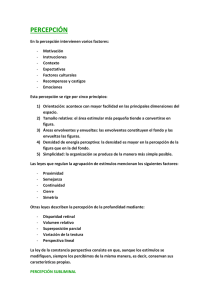 percepcion 1