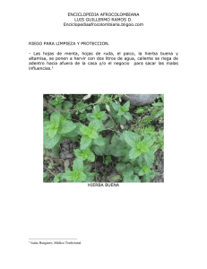 RIEGO_PARA_LIMPIEZA_Y_PROTECCION.doc