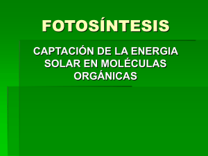FOTOS_NTESIS.ppt