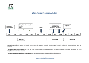 Plan Sanitario Vaca - Jauke