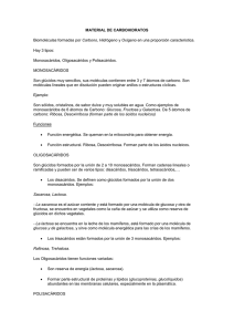 MATERIAL DE CARBOHIDRATOS
