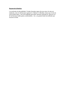 nota 6.doc
