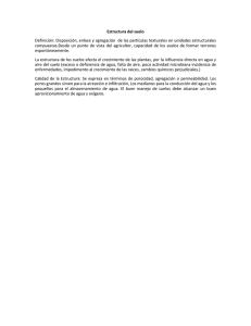 Estructura del suelo.docx
