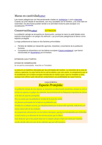 CAZA Y EXTINCIÓN Y LEYES DE LA LIEBRE.docx