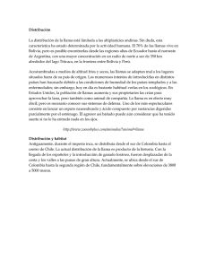 ubicación y distribución.docx