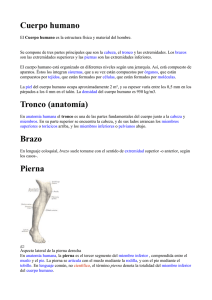 Cuerpo humano.doc