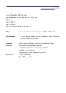 curriculo modelo urbano