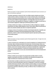 PRÁCTICA 6.docx