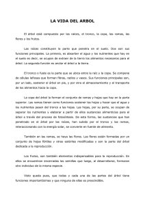 LA VIDA DEL ARBOL.doc