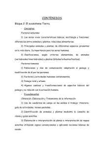 CC.doc