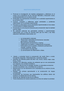 objetivos específicos.docx