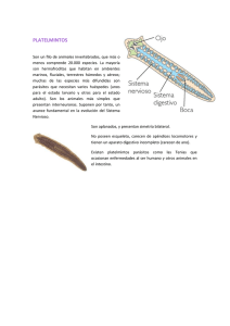 PLATELMINTOS