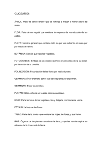 GLOSARIO bien.doc