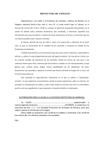 PROTECTORA DE ANIMALES.doc
