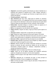 Glosario t5