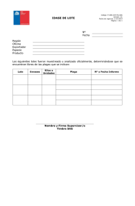 IDASE de lote