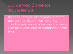 diapositivas de los ecosistemas