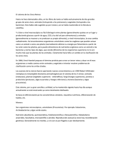 El sistema de los Cinco Reinos
