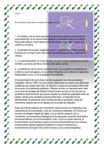 cristalino una posición fija, no se mueve hacia adelante y hacia... Para poder enfocar, el ojo humano utiliza los músculos que...