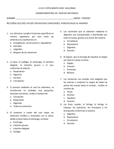 Examen de Ciencias Naturales - Tercer Grado