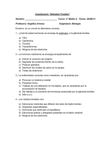 Cuestionario Glándula Tiroides: Biología 2° Medio