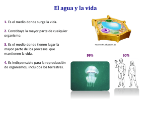 El agua y la vida.pptx