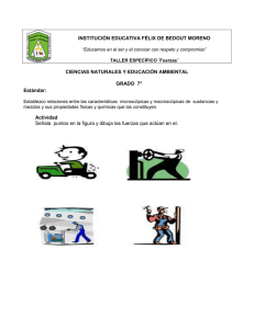 tallere de fuerza