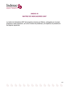 Anexo 11 Matriz de Marco L gico 2007