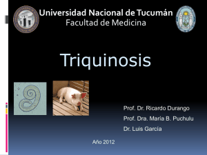 Triquinosis