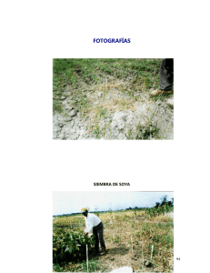 fotos.pdf