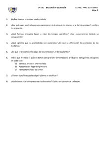 Documento3782991 3782991
