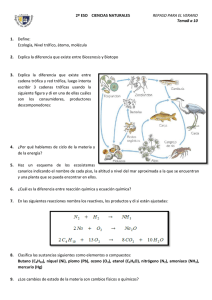 Tema8