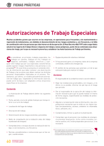 Enlace en nueva ventana: Autorizaciones de trabajo especiales - Año 2006 (FP rev 38)