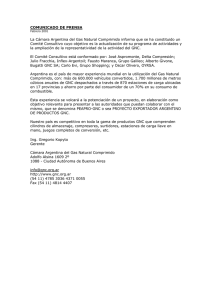 Constitución de Comité Consultivo para la Cámara Argentina del GNC- Febrero 2001