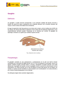 Nueva ventana:Ganglión (pdf, 213 Kbytes)
