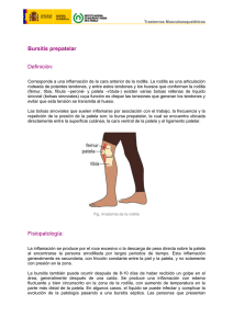 Nueva ventana:Bursitis prepatelar (pdf, 147 Kbytes)