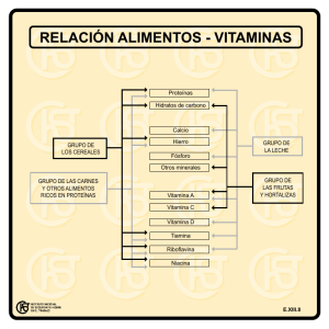 Nueva ventana:Relación alimentos-vitaminas (pdf, 25 Kbytes)