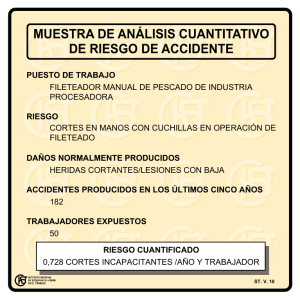 Nueva ventana:Muestra de análisis cuantitativo de riesgo de accidente (pdf, 38 Kbytes)