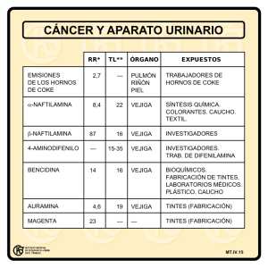 Nueva ventana:Cáncer y aparato urinario (pdf, 25 Kbytes)
