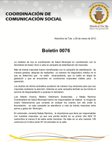 Campaña de Esterilización en Atotonilco de Tula