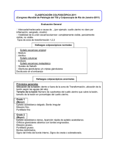 Clasificación Colposcópica 2011: Guía Detallada