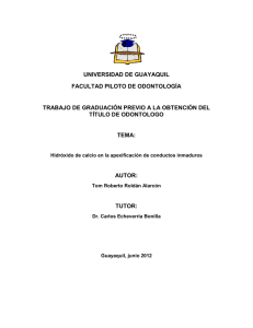 RoldanAlarconTomRoberto.pdf